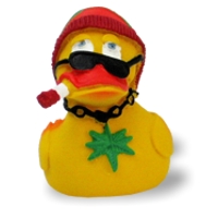 Rasta Duck