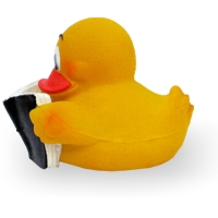 Book Duck