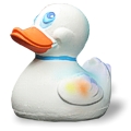 Ice Duck