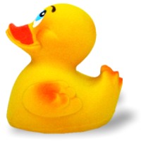 Classic Duck