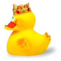 Queen Duck