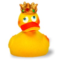 Queen Duck