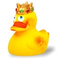 Queen Duck