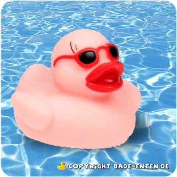 Summer Beach Duck